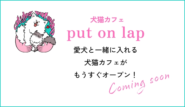 犬猫カフェput on lap