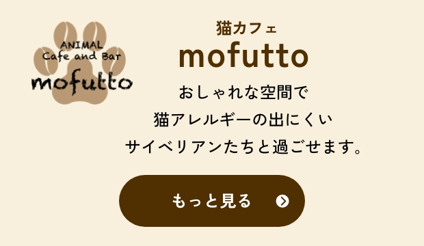 猫カフェmofutto